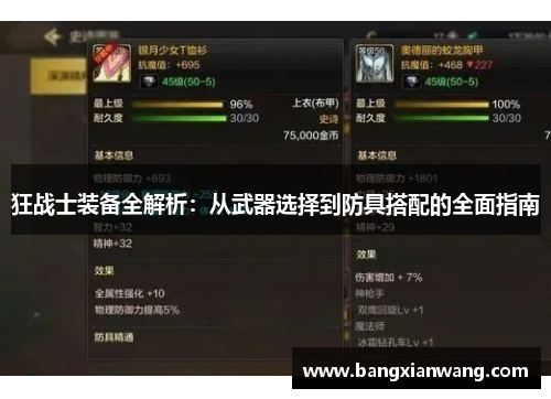 狂战士装备全解析：从武器选择到防具搭配的全面指南